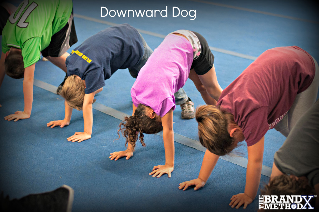 DownwardDog